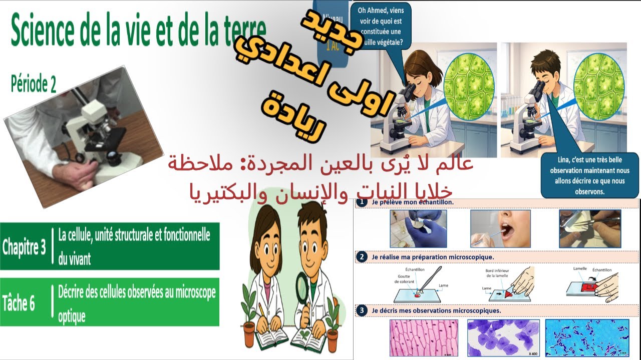 Période 2 tâche 6 تحت المجهر: خلايا النبات والإنسان والبكتيريا
