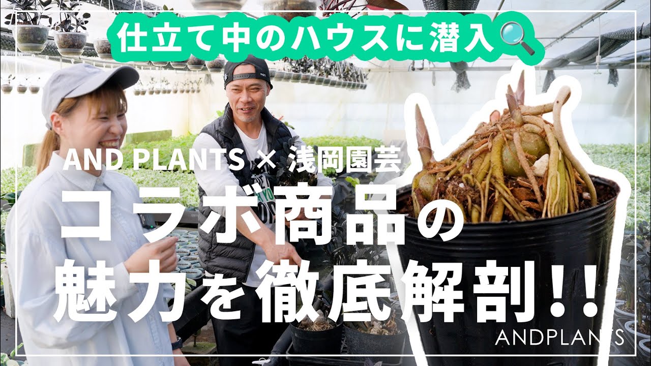 【コラボ企画】浅岡園芸さんとの新商品開発に込められた想いとは？