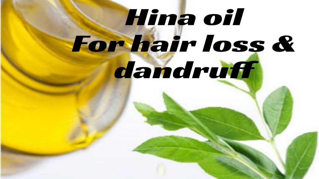 HAIR OIL FOR DANDRUFF, HAIR LOSS, & HAIR REGROWTH |مھندی کے پتون کا تیل| HINA/MEHNDI OIL beauty hacks youtube