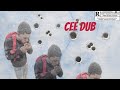 Cee dub  cursed