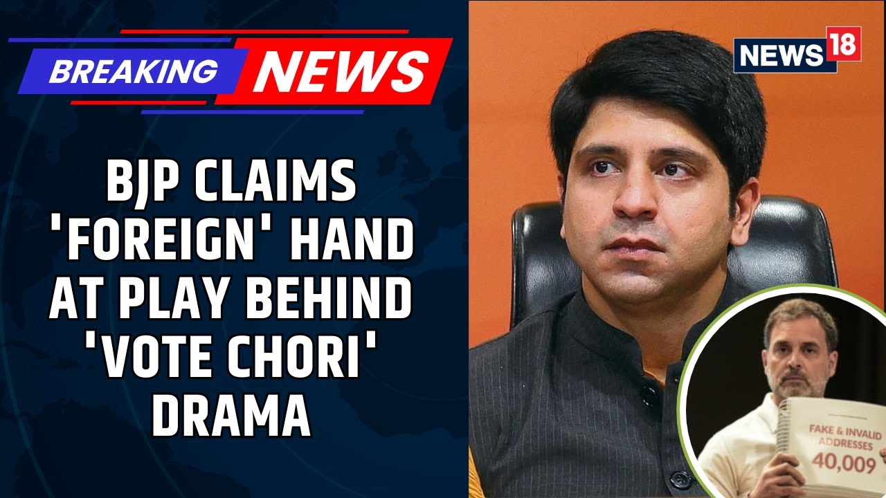 Голосование в Чори Роу: БДП утверждает, что за мотивами Рахула Ганди стоит иностранное вмешательс...