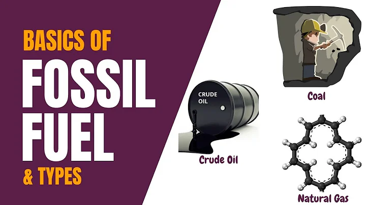 Fossil Fuel Basics and Types | Simple Science