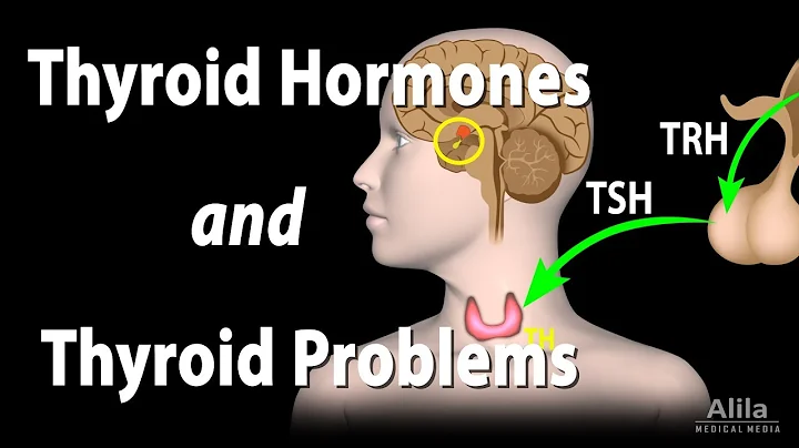 Thyroid Gland, Hormones and Thyroid Problems, Animation - DayDayNews