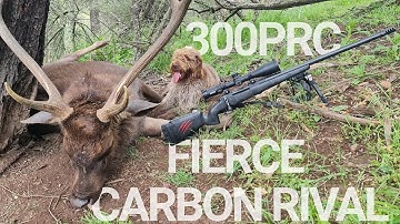 Cover Image for FIERCE CARBON RIVAL 300PRC Pros & Cons Review