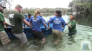 Sarge the Manatee Returned to the Wild by SeaWorld Orlando