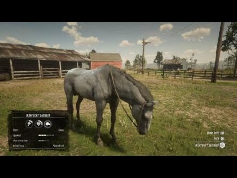 RED DEAD REDEMPTION 2 - Localização Cavalo Kentucky Saddler #jogos #ga