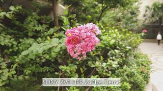 SONY ZV-1 HFR Demo (HADHELD)