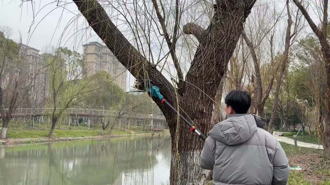 Today, I use this tool to trim the branches by the river.