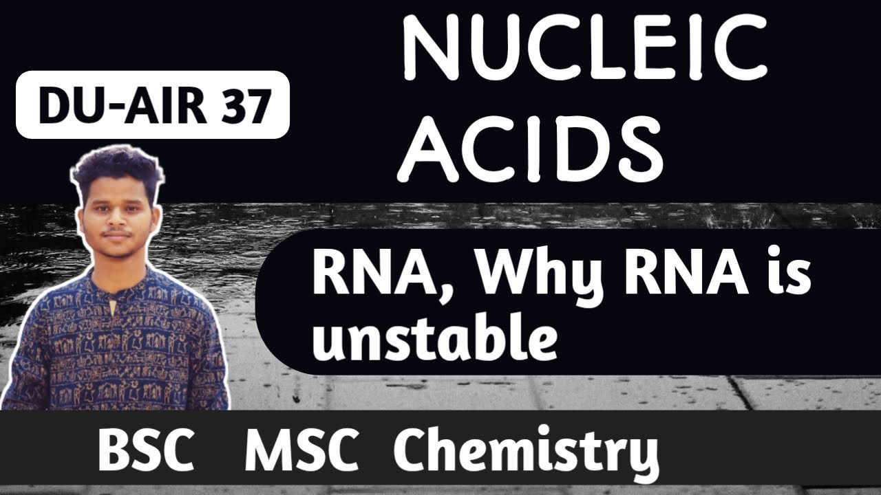 NUCLEIC ACIDS RNA Why RNA is unstable? BSC MSC CHEMISTRY YouTube