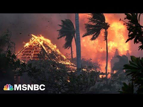 Hurricane winds, dry land are ‘lethal combination' in Hawaii wildfires says scientist
