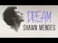 Shawn Mendes - Dream (Lyric Video) 4k