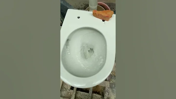 New single holes tornado Flushing strong flush Rimless hanging toilet water test