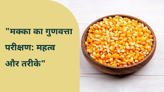 Celebrity जानें कैसे करते हैं मक्के का गुणवत्ता परीक्षण | Maize Quality Testing | 🌽🌽 Net Worth