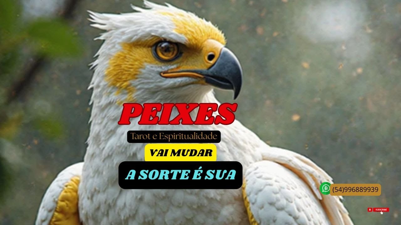 🦅PEIXES-BOMBÁSTICO GRANDE MOMENTO CHEGANDO,SUCESSO!