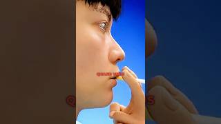 Comment Fonctionne Un Patch  La Nicotine 