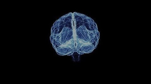 Hologram of the Human Brain | Motion Graphics - Videohive template