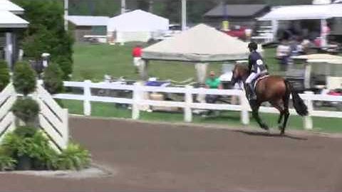 Video of LIAISON ridden by CLAIRE SCHREDER from ShowNet!