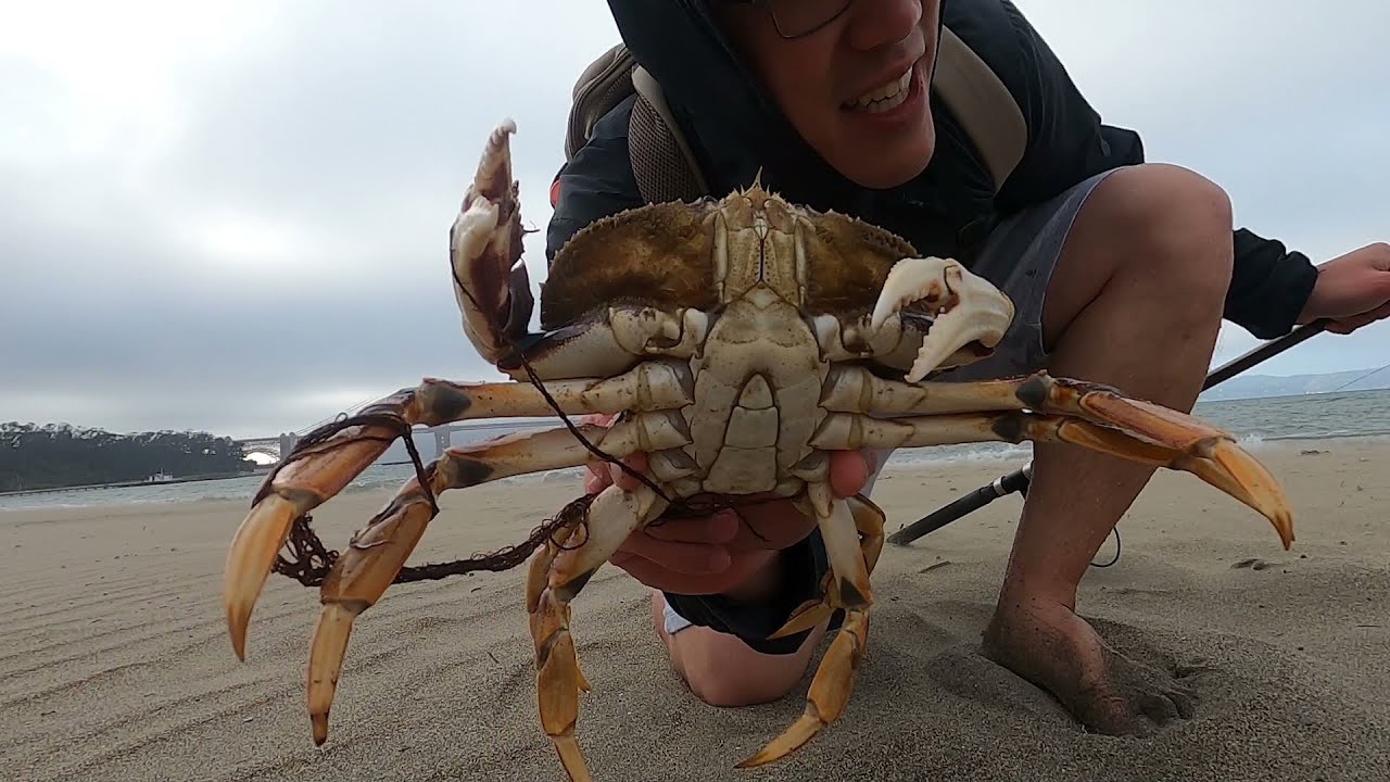 ILLEGAL Dungeness Crab fishing in San Francisco | Canadian Border Update