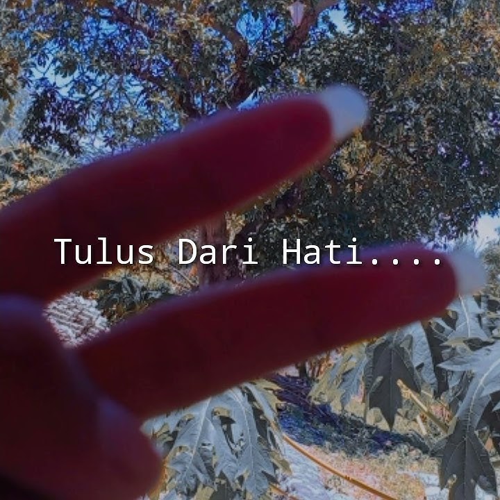 Story Wa Biarkan Hati Berbicara