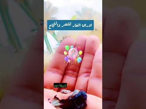 شاهد صندوق الوصف حتي تتعرف علي بعض فوائد ورق الغار لجذب الاهداف وللتنظيف الطاقي Explore وصفات