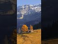 🌄 PEACEFUL Swiss Mountain Haven | Drone Over Alpine Chalet Retreat #switzerland #aerial #drone #dji
