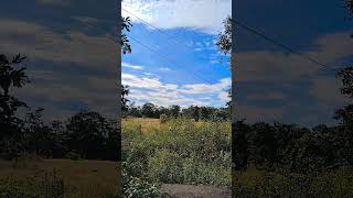 🌅 “Unseen Beauty of Nature 🌿 | Relaxing Nature Short Video | Peaceful Vibes 😍”