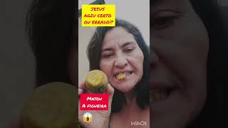 Será Que Jesus Foi Mal?