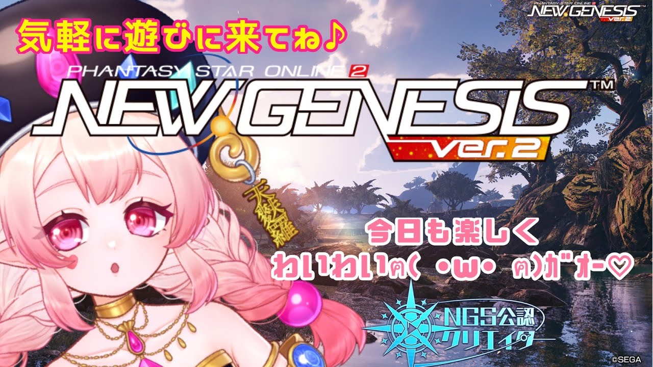 【PSO2NGS/公認】防具を作りたいので教えてください(´;ω;｀)【ship10】🌟