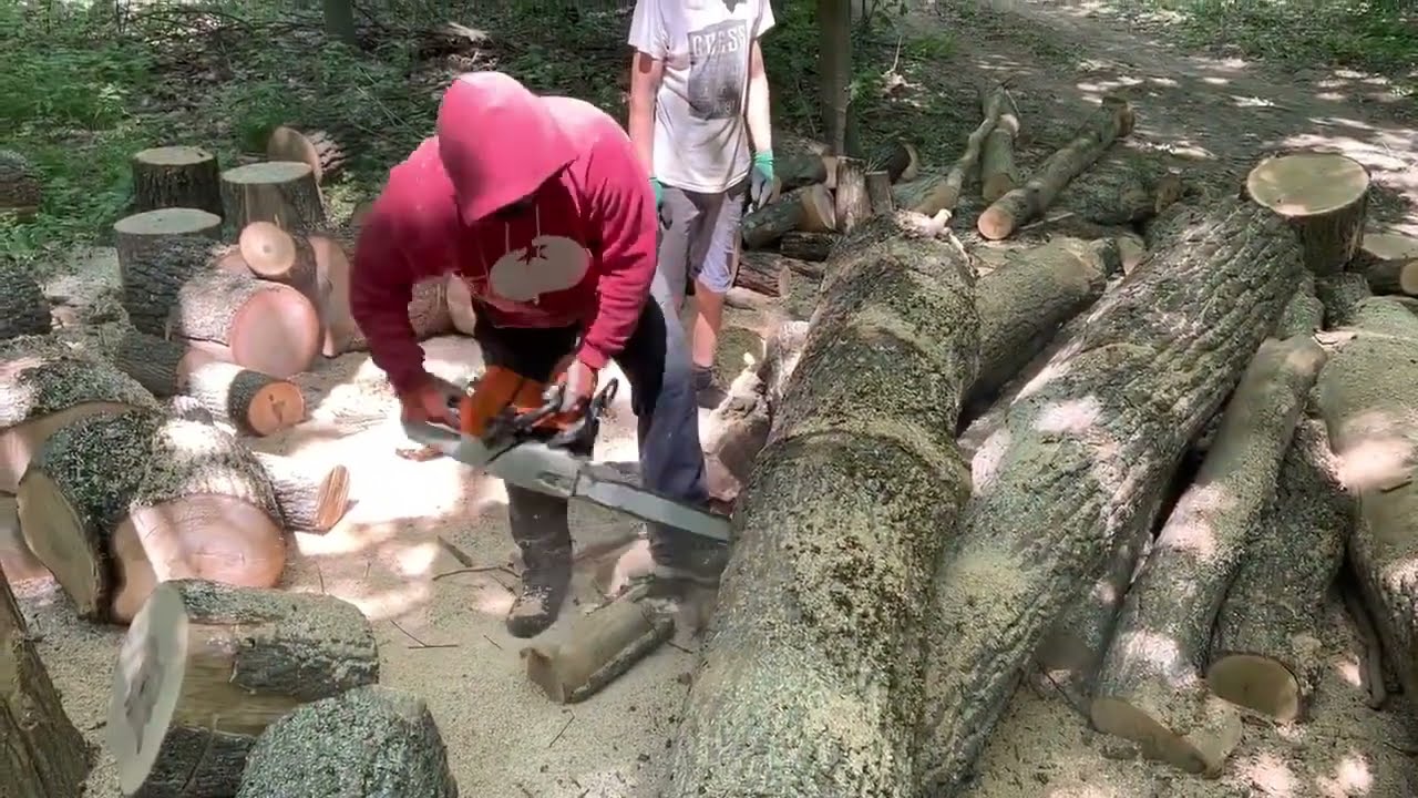 STIHL 361 & 462 C-M in the Deep Forest | Real Work