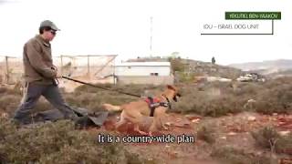 Israel Dog Unit
