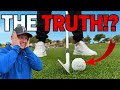 The TRUTH About Why MY GOLF ISN
