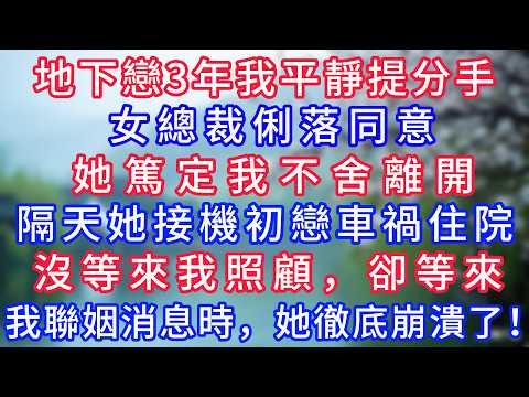 地下戀3年我平靜提分手，女總裁俐落同意，她篤定我不舍離開，隔天她接機初戀車禍住院，沒等來我照顧，卻等來我聯姻消息時，她徹底崩潰了！#岁月温情 #情感故事#幸福生活#為人處世#生活經驗#婆媳故事