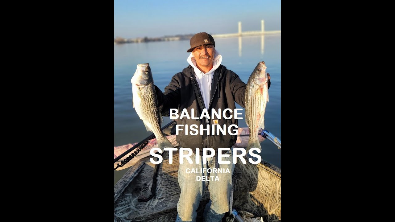 California Delta Balance Fishing Stripers!!! YouTube