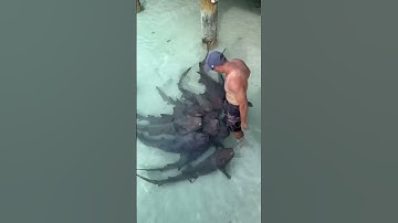 Ai có cần việc nhẹ lương cao. #ytadacbiet