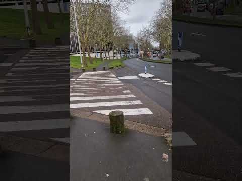 Image youtube