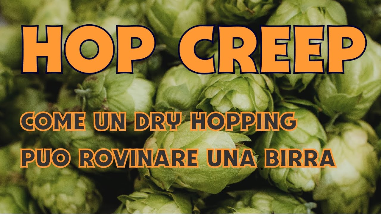 Hop creep - ho cercato le cause della formazione di gushing e diacetile