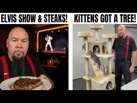 Went to a cool ELVIS show, steaks and built a cat tree for the kittens