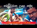 Taste Experiment at Fish Boat | බෝට්ටවක උයල කමුද | Hikkaduwa | Sri Lanka