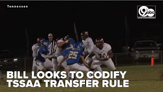 Tennessee Senate passes bill codifying TSSAA transfer rule for student athletes