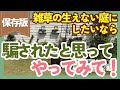 雑草にもう悩まされない❗️ずぼらガーデナーでもできた年々ラクになる雑草対策のコツを紹介【ガーデニング】【園芸】