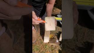 Sealing pressure treated lumber #renotips #diytips #carpentry #carpentrywork #lumber #deckbuild