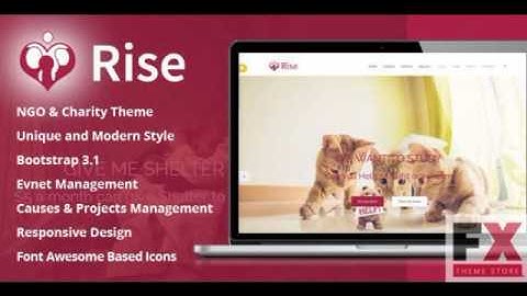 Preview Rise - NGO and Charity Responsive HTML5 Template TFx