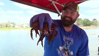 Warm Temperatures Push Crawfish Season Into High Gear Crawfish Season Over