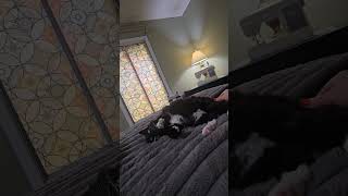 Interviu Su Matilda.