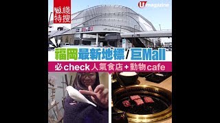 福岡最新MARK IS fukuoka-momochi 必check人氣食店+動物cafe