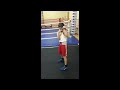 боксерская стойка. A Boxer&#39;s posture