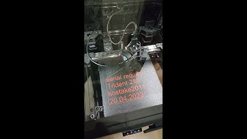 Voron Trident 250 serial request