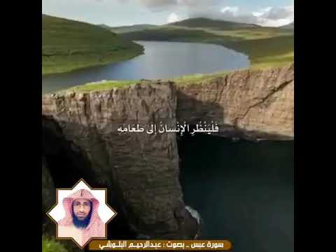 عبد الرحيم البلوشي آيات تتحدث عن شيء من نعم الله