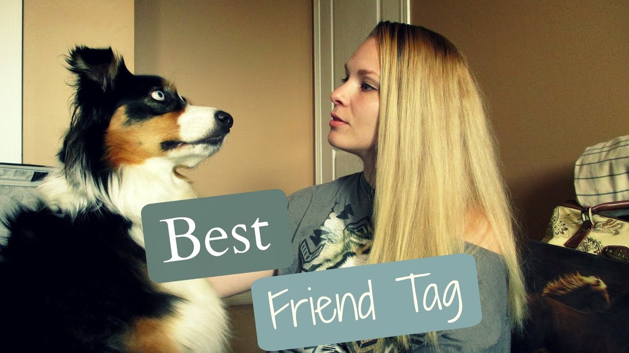 puppy paradise Best Friend Tag - Get to Know Aspen