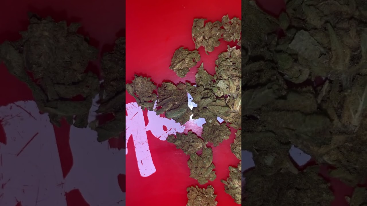 New pack from hemp flower co strand Pineapple Express 